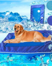 4f42113e3d4405bed76935c266ff23c2